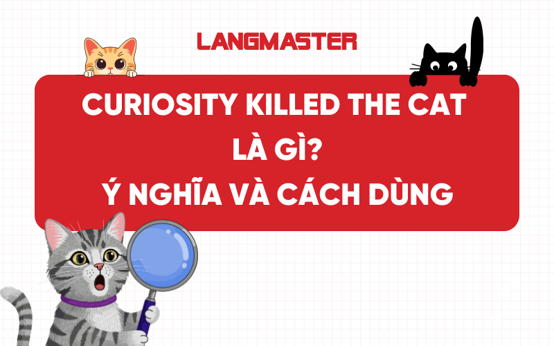 Curiosity killed the cat là gì? Ý nghĩa và cách dùng